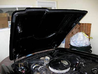 63r1384i.jpg