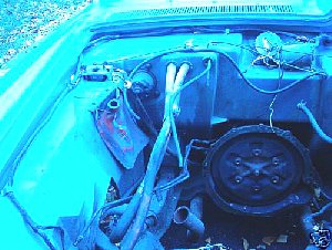 r3404bbc.jpg