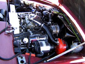 r3565c.jpg