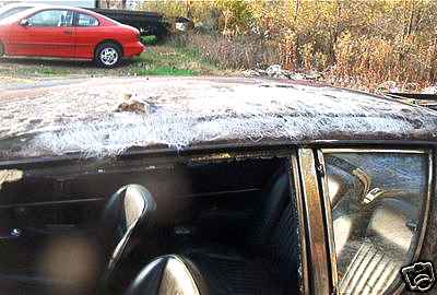 64r5240l.jpg