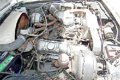 64r5369n.jpg