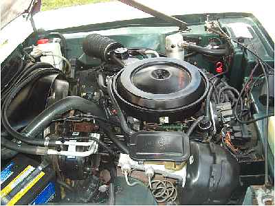 88av0276m.jpg