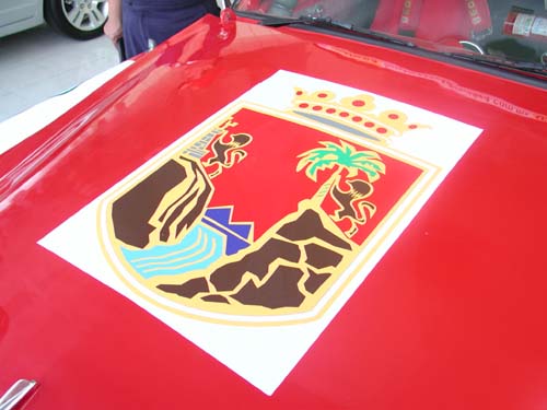 emblem on hood