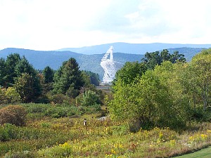 75904561.jpg