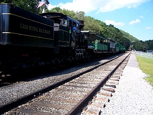 75904569.jpg