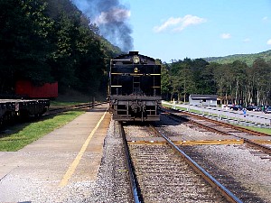 75904573.jpg