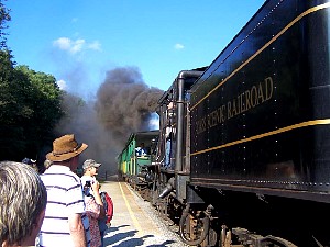 75904574.jpg