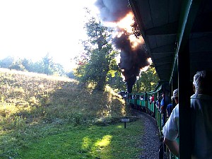 75904608.jpg