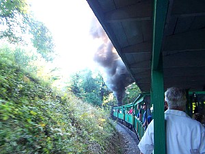 75904609.jpg