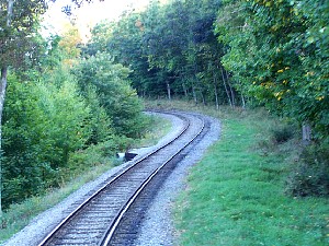 75904612.jpg