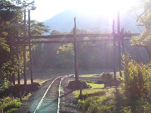 75904615.jpg