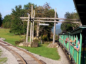 75904617.jpg