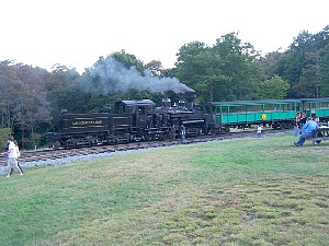 75904623.jpg