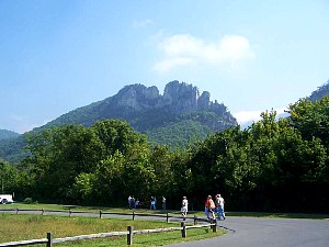 75904637.jpg