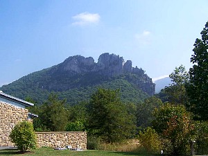 75904638.jpg
