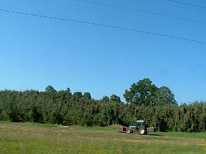 ft070030.jpg