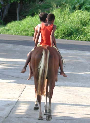 kids on horse