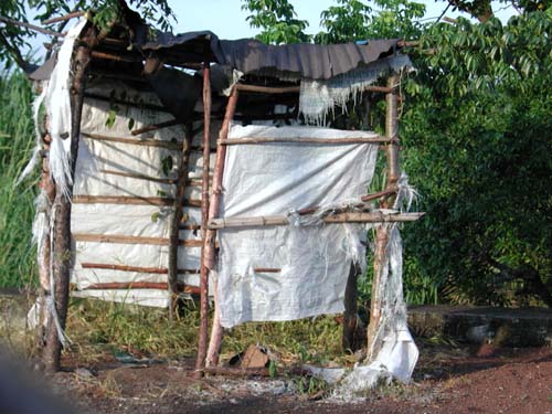 shack
