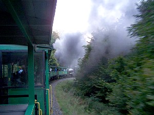 75904628.jpg