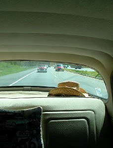 fd0407x28.jpg