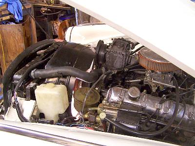 1006377m.jpg