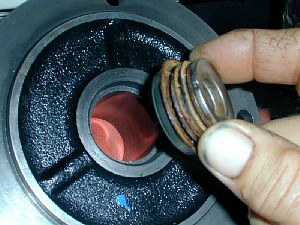 wpc2.jpg