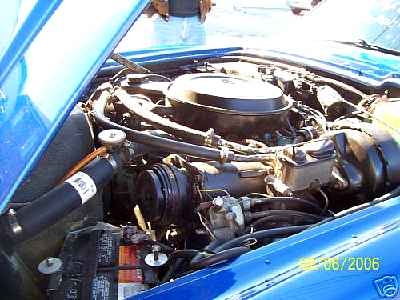 82qb3564m2.jpg