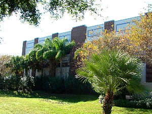 stustpete1.jpg