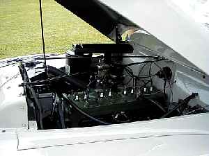apl01k.jpg