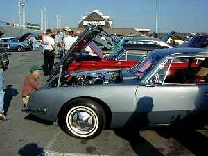 hers1001v.jpg