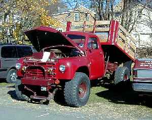reed01g.jpg