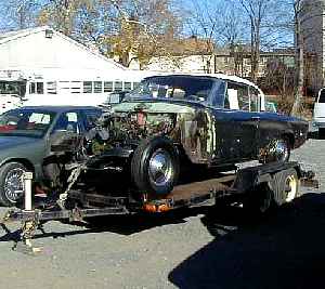 reed01r.jpg