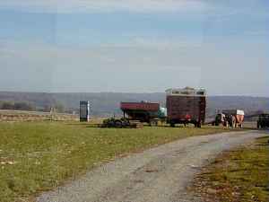 ft0266.jpg
