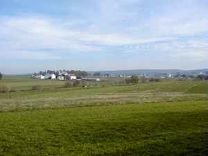 ft0275.jpg