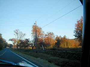241003a.jpg