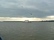 df0013.jpg
