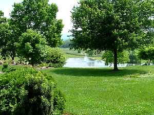 c040605k.jpg