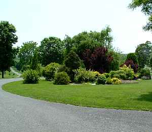 c040605p.jpg