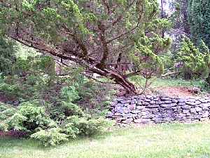 c040605u.jpg