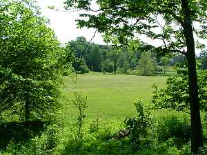 c040605y.jpg