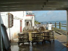 ft2006020.jpg