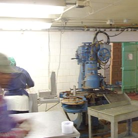 ft2006024.jpg