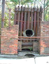 ft2006082.jpg
