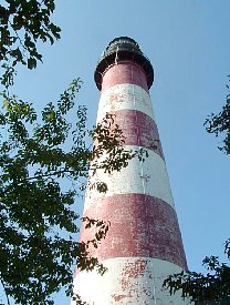 ft2006104.jpg