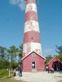 ft2006105.jpg