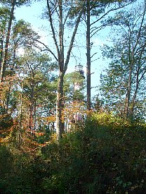 ft2006106.jpg