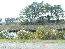 ft2006107.jpg