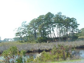 ft2006108.jpg