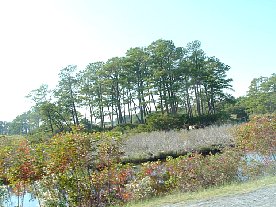 ft2006109.jpg