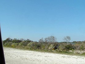 ft2006117.jpg